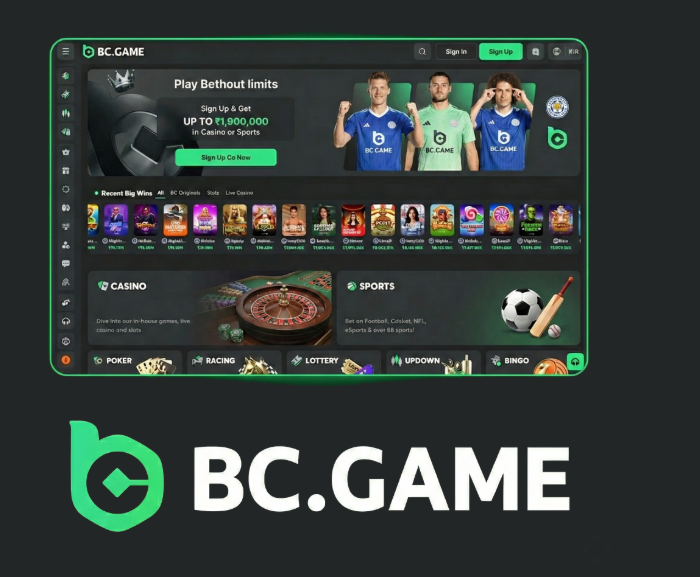 Explore the Thrills of BC.Game Casino Platform